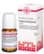 PAEONIA OFFICINALIS D 3 Tabletten