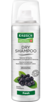 RAUSCH Dry Shampoo fresh Dosierspray