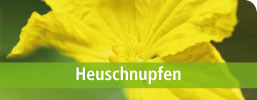 Dreluso Heuschnupfen