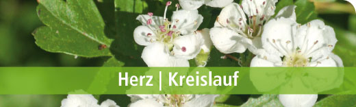 Dreluso Herz Kreislauf Dreluso Herz Kreislauf