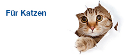 Für Katzen