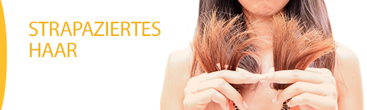 Strapaziertes Haar Strapaziertes Haar