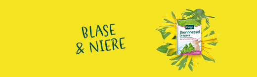 Blase & Niere Blase & Niere