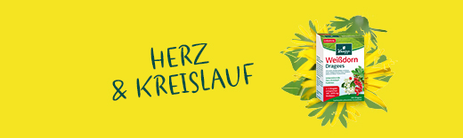 Herz & Kreislauf Herz & Kreislauf