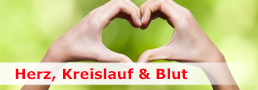 Herz, Kreislauf & Blut