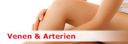 Venen & Arterien