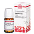 EUPHORBIUM D 4 Tabletten