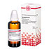 SARSAPARILLA D 2 Dilution