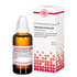 RANUNCULUS BULBOSUS D 6 Dilution