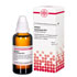 ACIDUM FORMICICUM D 12 Dilution