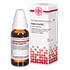 CICUTA VIROSA D 12 Dilution