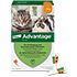 ADVANTAGE 40 mg Lsg.f.kl.Katzen/kl.Zierkaninchen