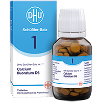 BIOCHEMIE DHU 1 Calcium fluoratum D 6 Tabletten