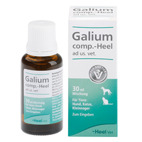 GALIUM COMP.-Heel ad us.vet.Tropfen