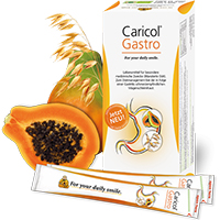 CARICOL Gastro Sticks